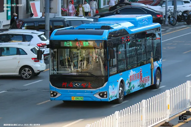 800BUS