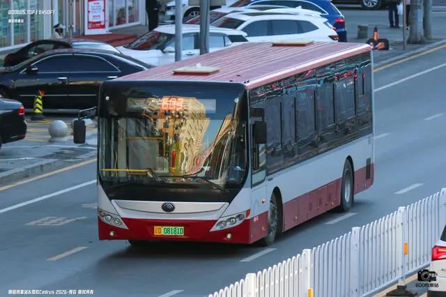 800BUS