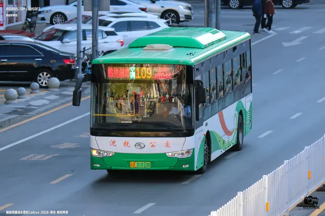 800BUS