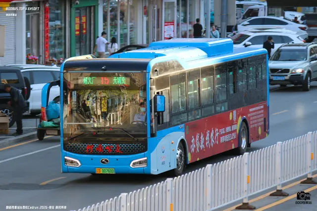 800BUS