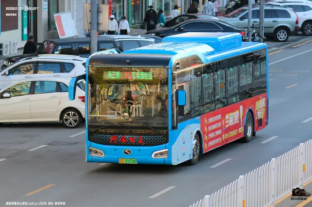 800BUS