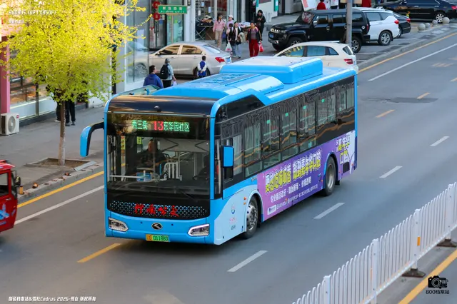 800BUS