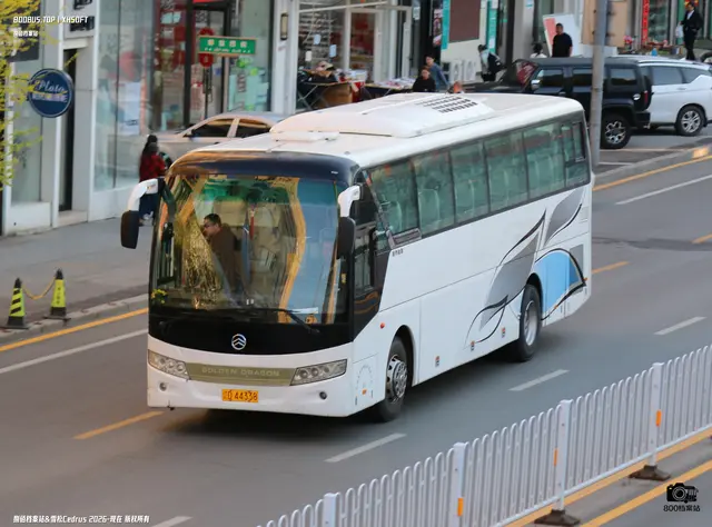 800BUS
