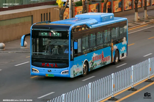 800BUS