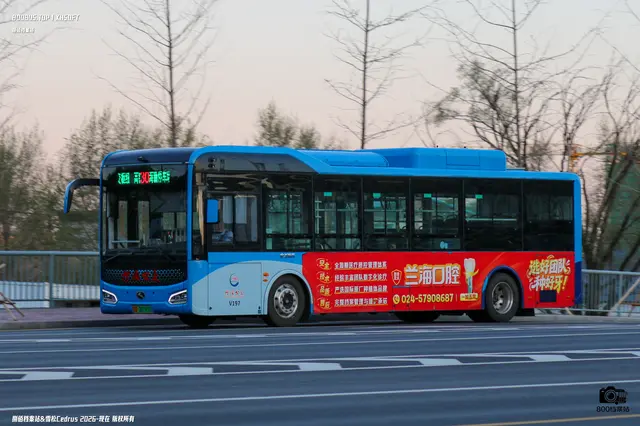 800BUS