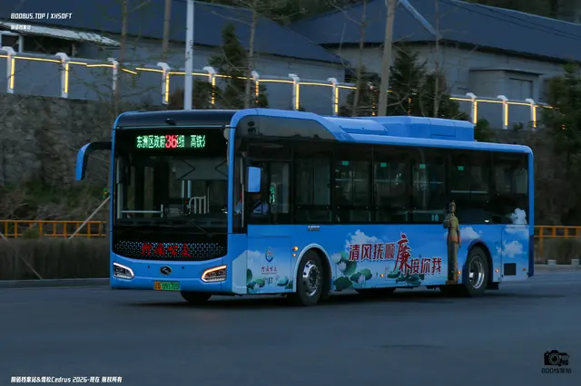 800BUS