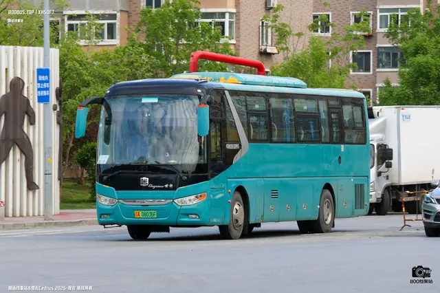 800BUS