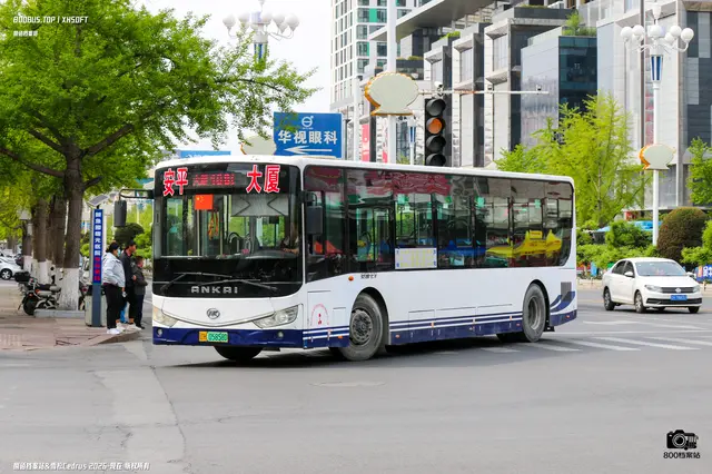 800BUS