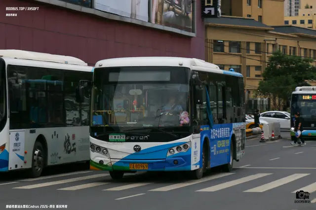 800BUS