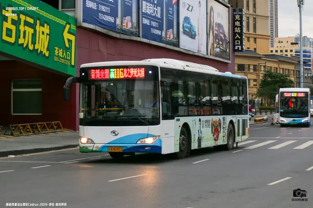 800BUS