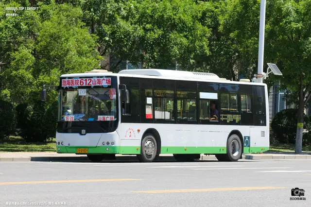 800BUS