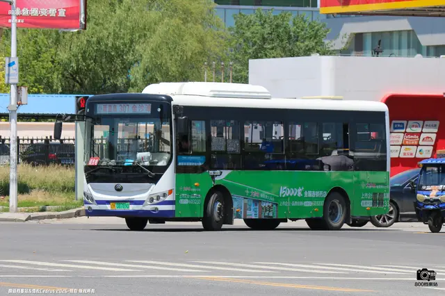 800BUS