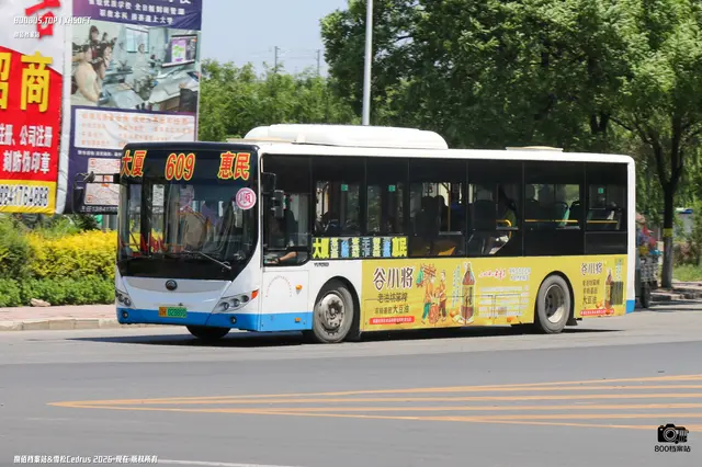 800BUS