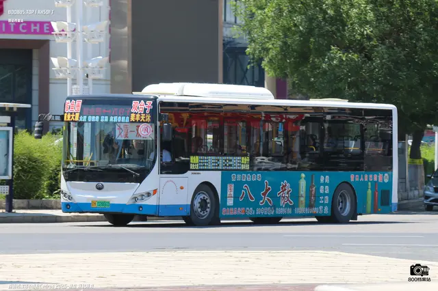 800BUS