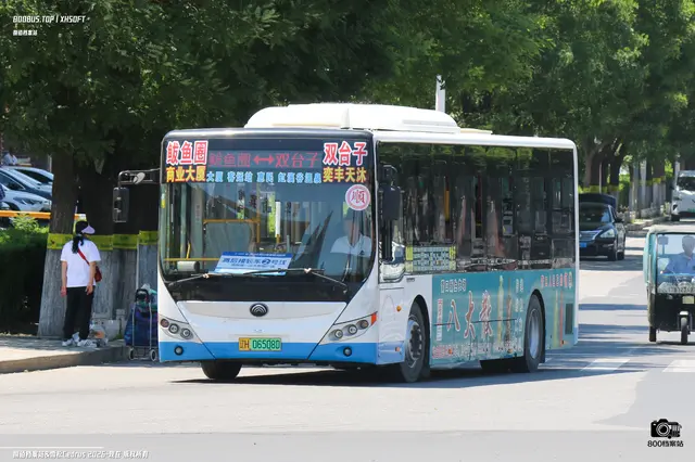 800BUS