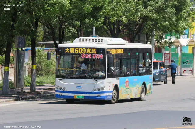 800BUS