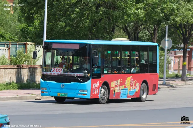 800BUS