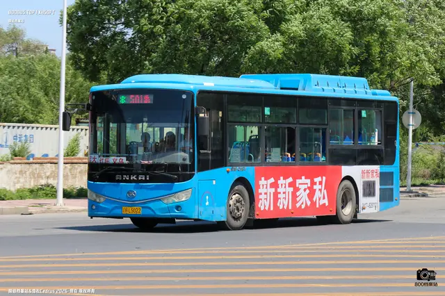 800BUS