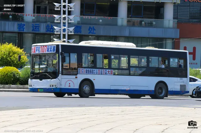 800BUS