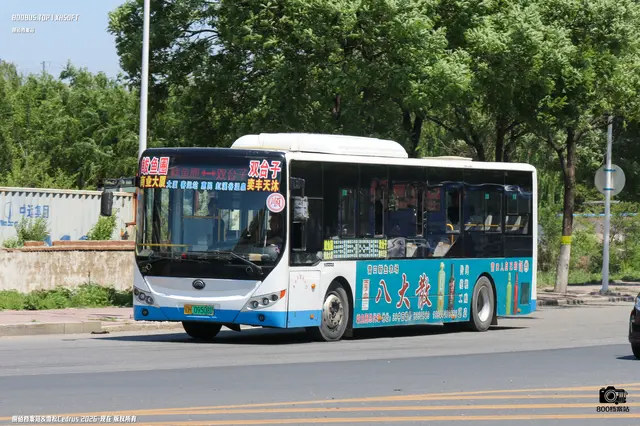 800BUS