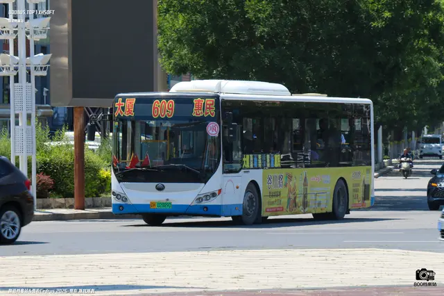 800BUS