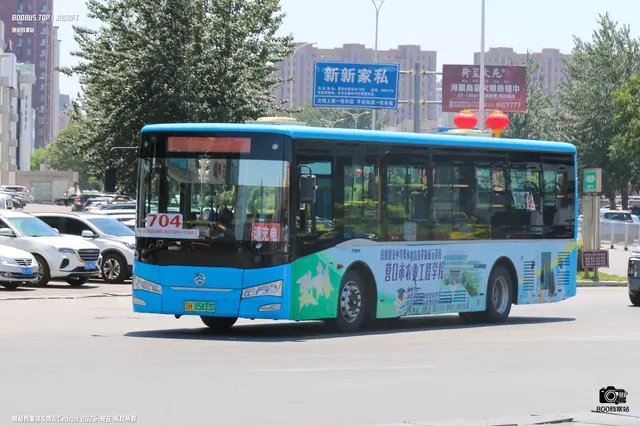800BUS