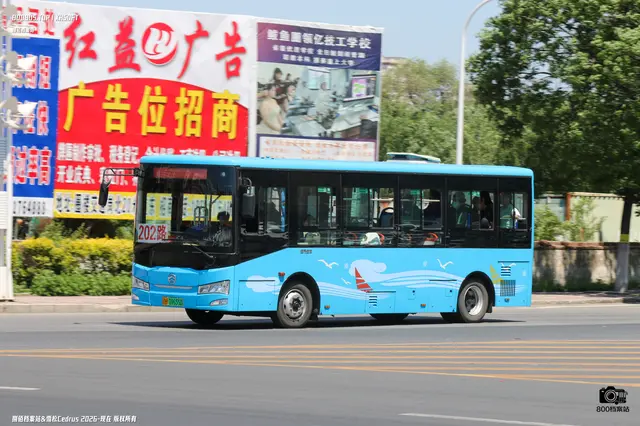 800BUS
