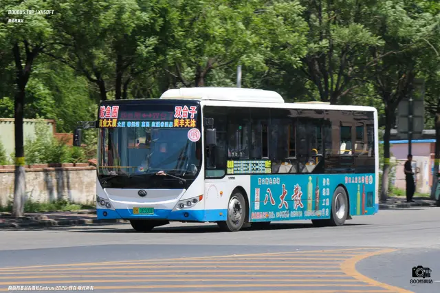800BUS