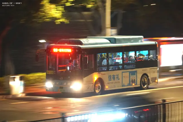 800BUS