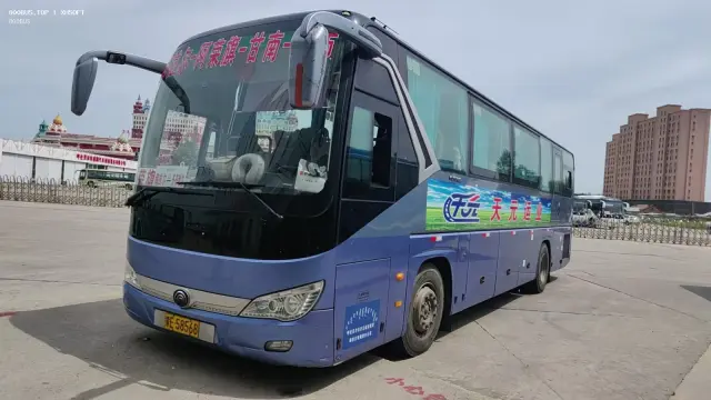 800BUS