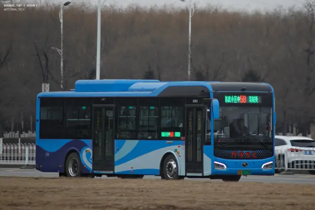 800BUS