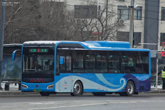 800BUS