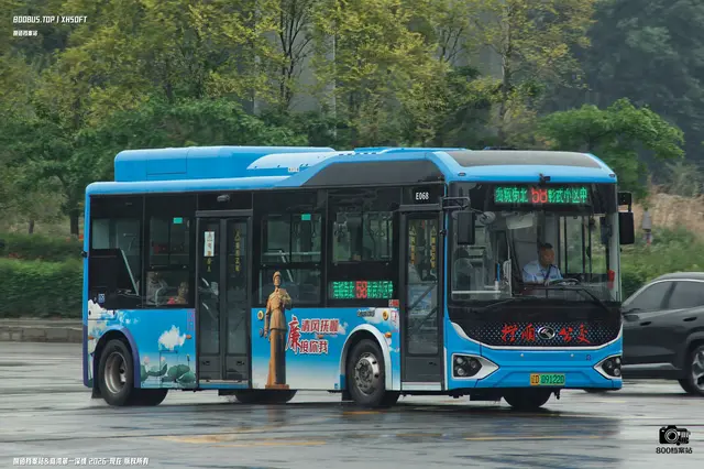 800BUS