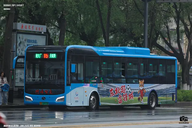 800BUS