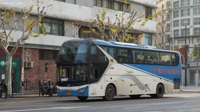 800BUS