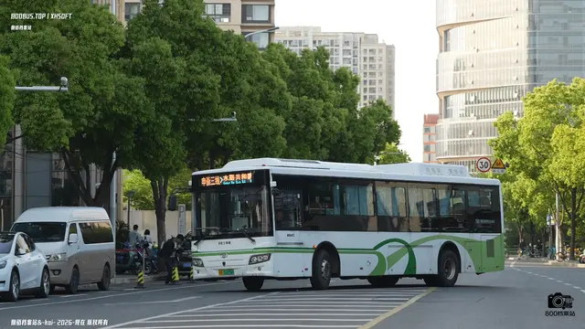 800BUS