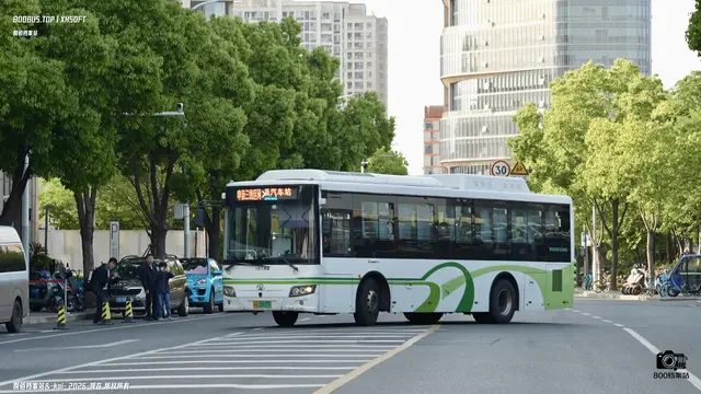 800BUS