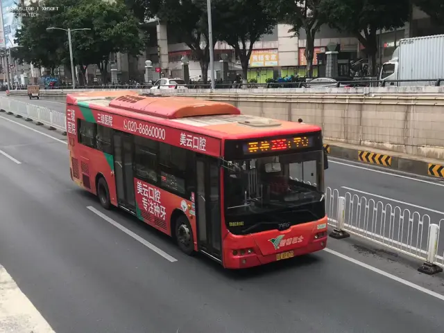 800BUS
