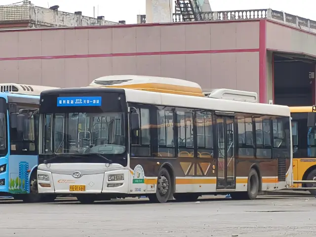 800BUS