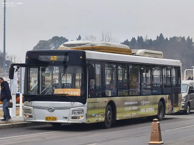 800BUS