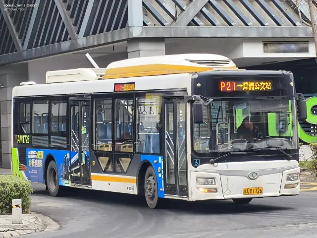 800BUS