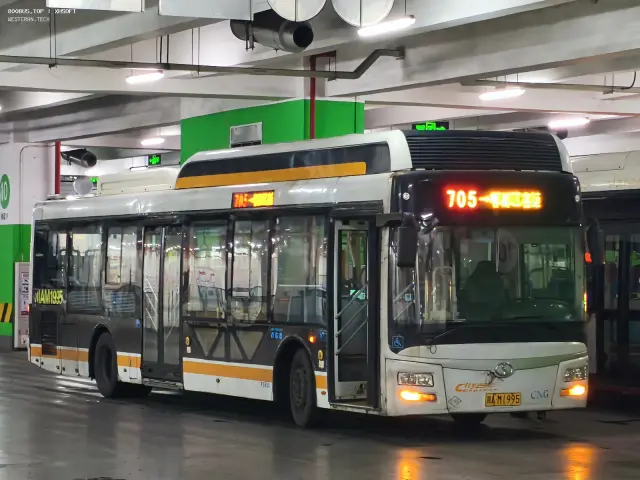 800BUS