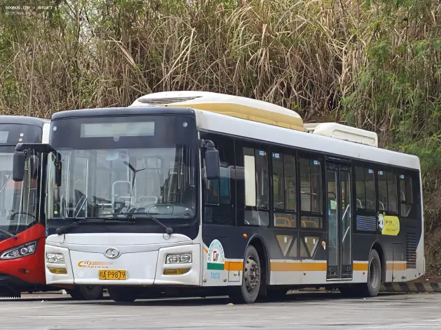 800BUS