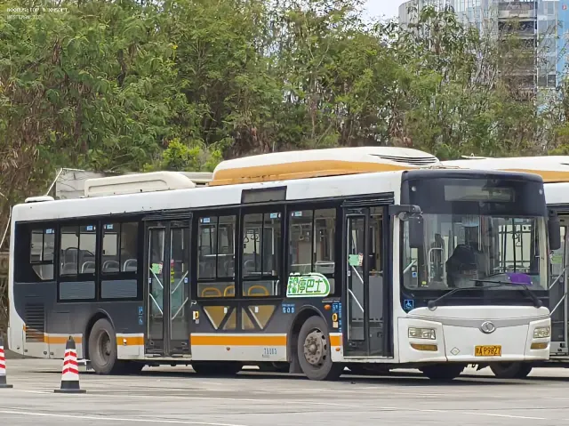 800BUS