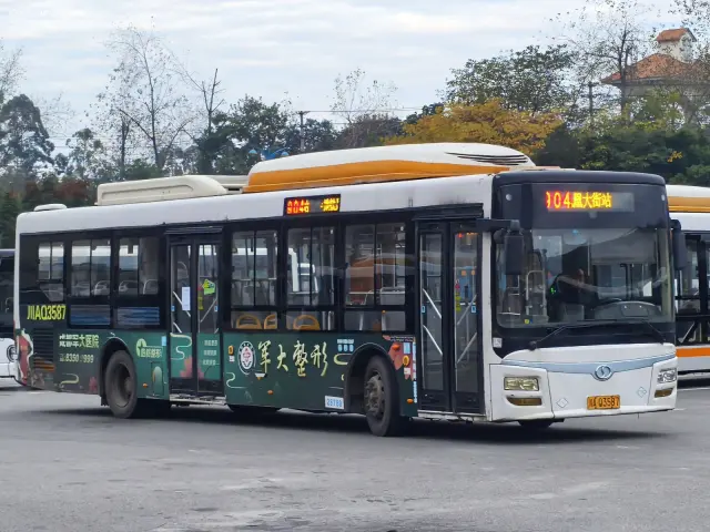 800BUS