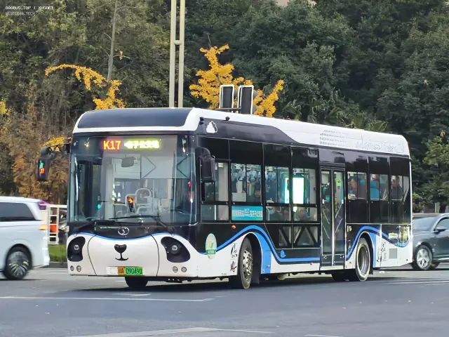 800BUS