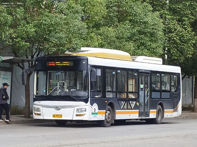 800BUS