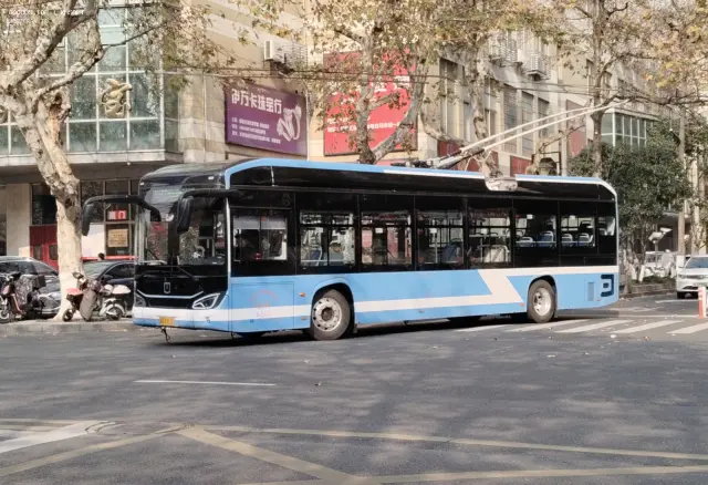 浙A87L31