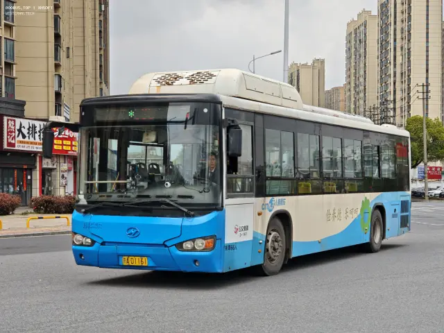 800BUS