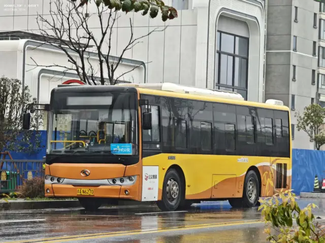 800BUS